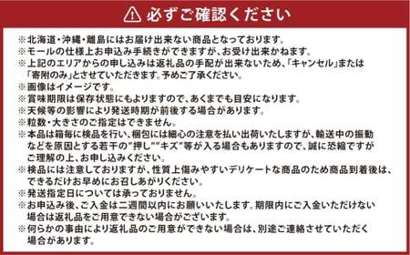 [HS]ぶどう 最高級品シャイン マスカット 晴王 1房 約700g【2026年9月上旬～10月下旬発送】【ブドウ 葡萄  岡山県産 船穂産 フルーツ 果物 ギフト】