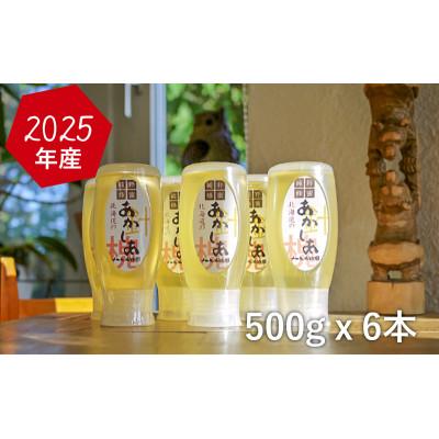 ふるさと納税 幕別町 アカシア蜂蜜500g×6[53691109]