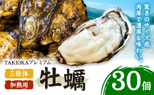 笠岡産 牡蠣 TAKIOKAプレミアム 三倍体 (加熱用) 30個 《10月上旬-6月下旬頃出荷》 岡山県 笠岡市 かき カキ 牡蠣 生牡蠣 瀬戸内海産 殻付き