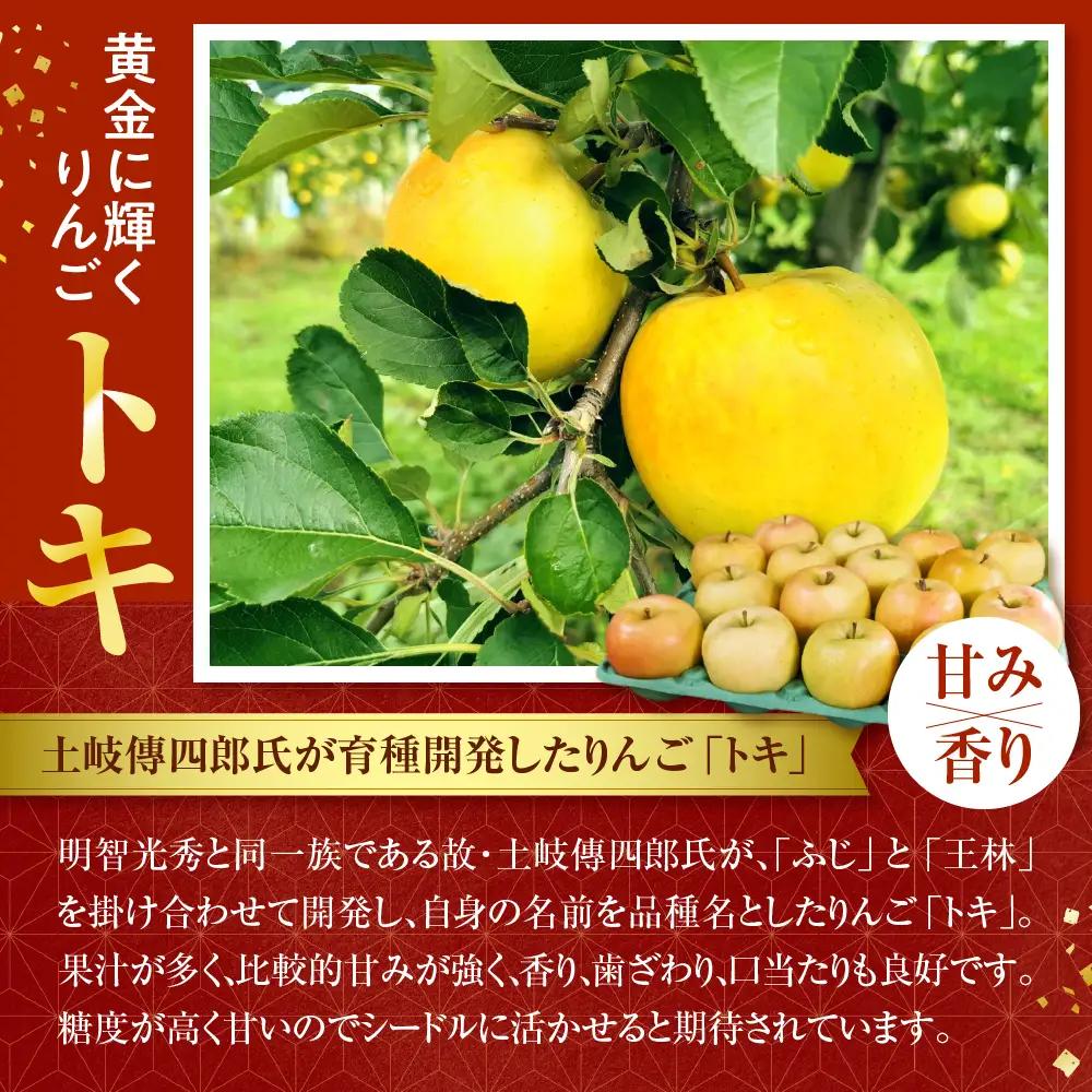 シードル 辛口 750ml×1本 （7％）「ときシードル（光秀連歌通説版）掛け紐：エンジ」 トキ で作ったシードル りんごのお酒 青森県産りんご 酒 アルコール トキりんごのお酒