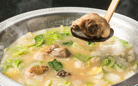 水炊き善哉　古処鶏使用　4人前～６人前　《豊前》　【有限会社豊前民芸】水炊き　福岡　古処鶏[VEQ005]