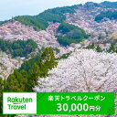 【ふるさと納税】奈良県吉野町の対象施設で使える楽天トラベルクーポン 寄付額100,000円