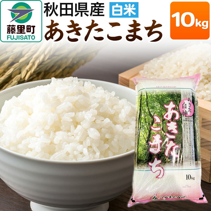 【ふるさと納税】米 あきたこまち 令和7年産 秋田県産 白米 10kg ×1袋