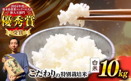 【先行予約】 【令和7年度】 くまさんの輝き 白米 10kg (1袋) （2025年10月下旬ごろ順次発送） 【坂本農園】 [AYCC035]