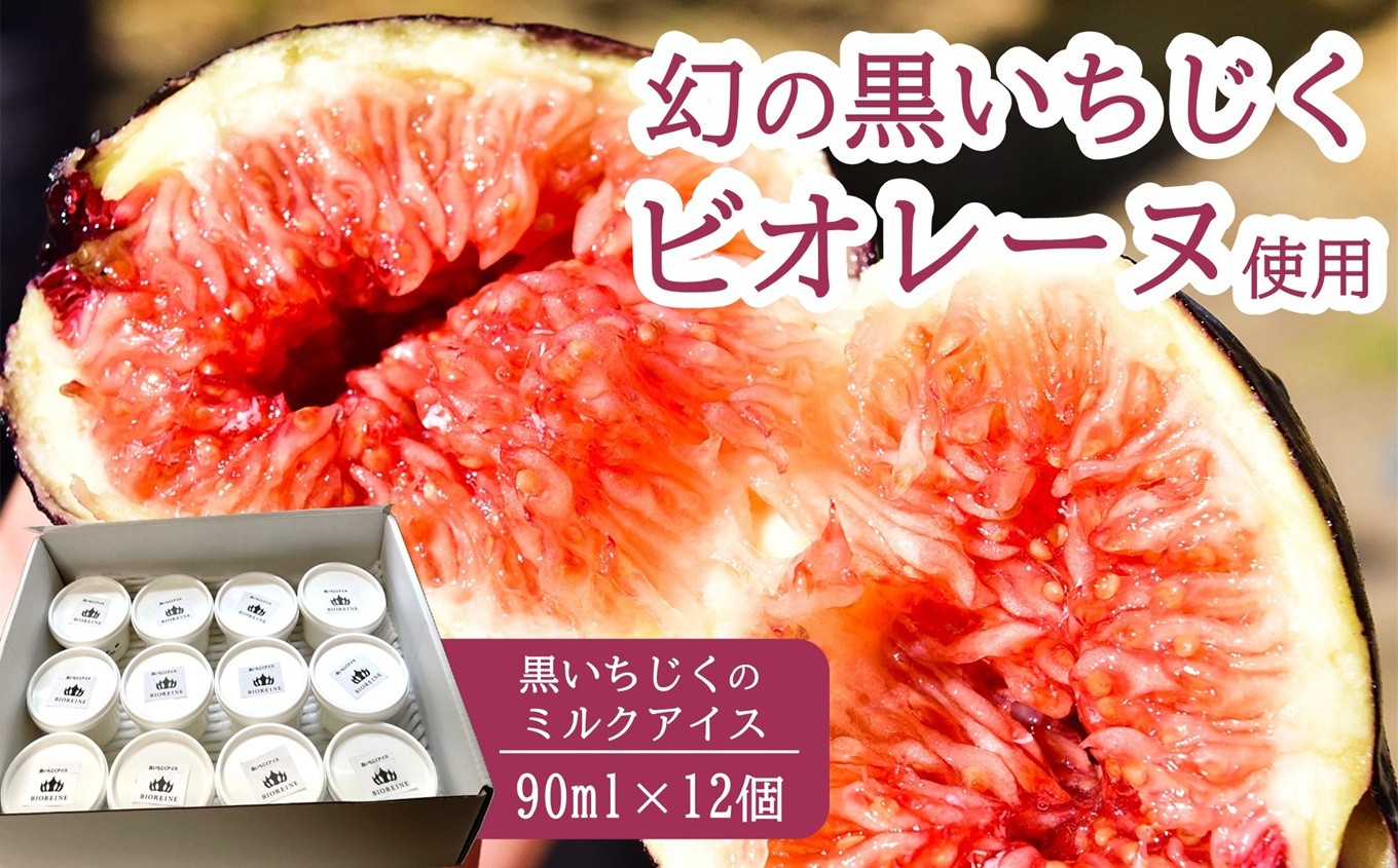 
                  黒いちじくのミルクアイス 90ml×12個 幻の黒いちじく 黒いダイヤモンド ビオレソリエス[Y0622]
                