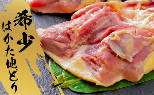 【福岡限定】はかた地どり水炊き6種盛りセット 3～4人前 吉富町/株式会社MEAT PLUS [BGAB008]