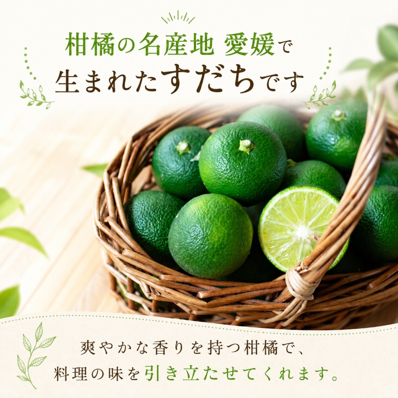 【2026年8月上旬より順次発送】すだち 2.5kg  家庭用 愛媛県産 |  不揃い キズあり 訳あり フルーツ 果物 くだもの 農家直送 スダチ すだち果汁 焼き魚 ぶり しいたけ お酒 酢 旬 