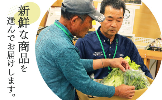 季節の野菜セットA | ヤサイ 野菜 やさい 詰め合わせ セット せっと 詰合せ 組み合わせ まとめ マトメ 果物 新鮮 季節 お試し バーベキュー BBQ おすすめ 冬 春 夏 秋 国産 季節の野菜 奈良県 五條市