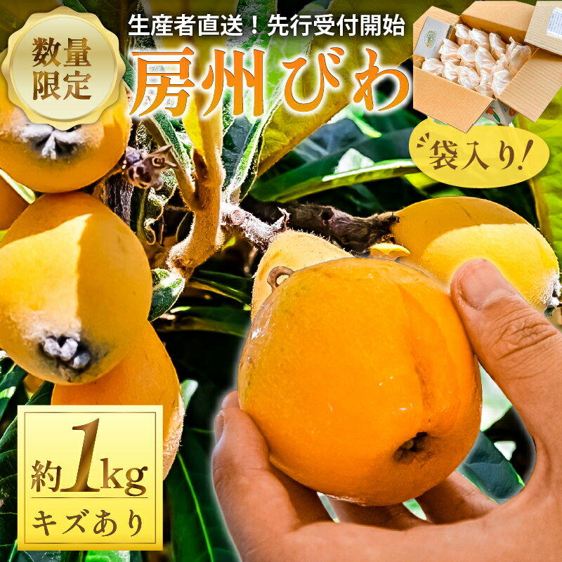 【ふるさと納税】 【2025年5月下旬～6月中旬発送予定】≪訳あり≫ 生産者直送 房州びわ1キロ袋入り（多少きずあり） 千葉県 南房総市 大粒 果肉が甘い 軟らかい ジューシー カロテン 食物繊維 栄養素 豊富 甘酸っぱい 送料無料