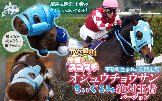 TVで紹介！【オジュウチョウサン】ちぃぐるみ　絶対王者バージョン【ふるさと納税 人気 おすすめ ランキング 馬 競馬 競走馬 オジュウチョウサン グッズ 北海道 平取町 びらとり 送料無料】 BRTV006