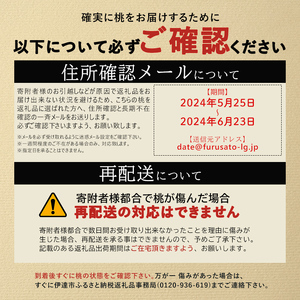 福島の桃 玉うさぎ ３kg（7～12玉） 伊達市産桃 先行予約 フルーツ 果物 もも モモ momo F20C-835