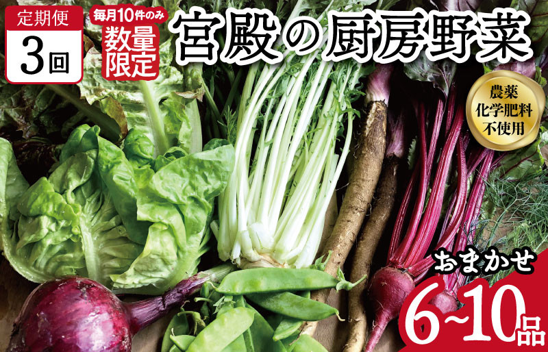 
            ★レビューキャンペーン対象★宮殿の厨房野菜 おまかせ定期便 （3回） 六月農園 野菜 セット 産地直送 おまかせ 季節の野菜 旬 詰め合わせ 人気 限定 有機栽培 オーガニック 明和町 国産 リピート 定期便
          