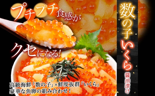 2530. 数の子 いくら醤油漬け 400g いくら イクラ 魚卵 海鮮 海鮮丼 送料無料 北海道 弟子屈町
