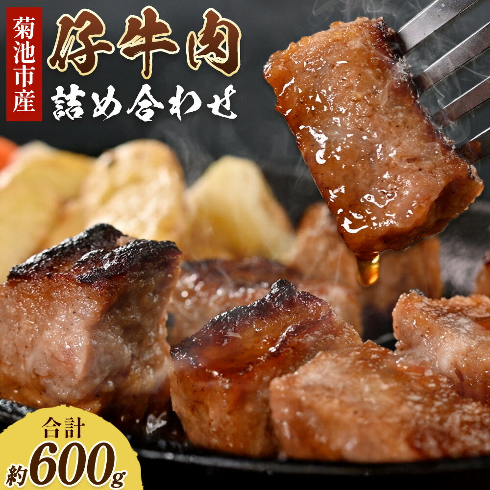 【ふるさと納税】菊池市産 仔牛肉詰め合わせ 合計約600g セット 宮川ファーム《90日以内に出荷予定(土日祝除く)》 部位おまかせ ランダム お肉 牛肉 ジャージー仔牛肉 国産 熊本県産 九州産 冷凍 送料無料