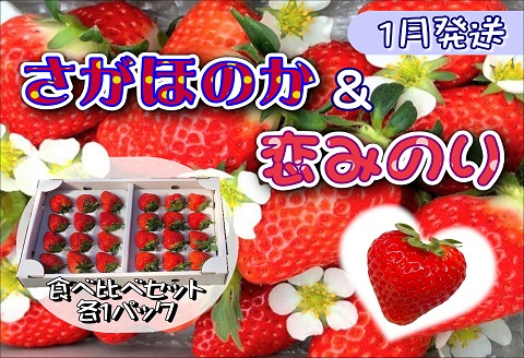 厳選大粒いちご～恋みのり＆さがほのか～食べ比べセット2P【1月発送】【B5-021】