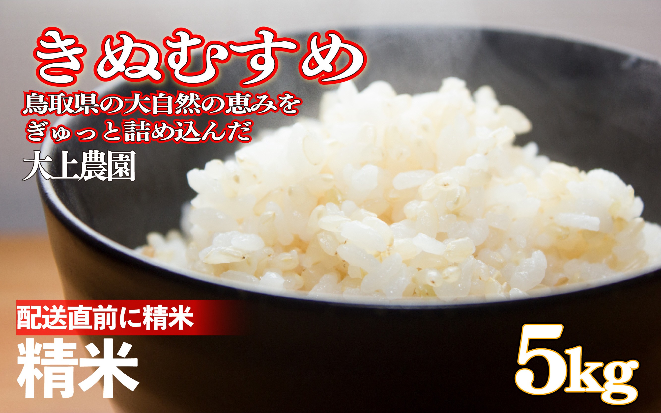 
                  令和7年産 大上農園きぬむすめ精米 5kg｜鳥取県産 令和7年 2025年産 お米 精米 大上農園 やまのおかげ屋【31046】
                