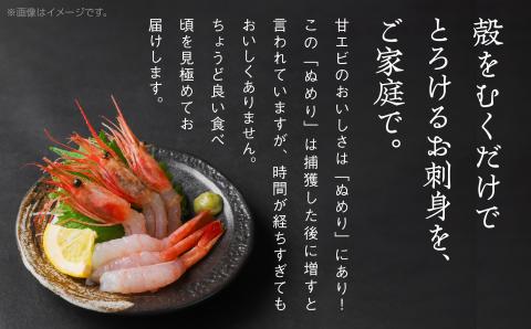 【日本海の幸】昆布〆・甘エビセット