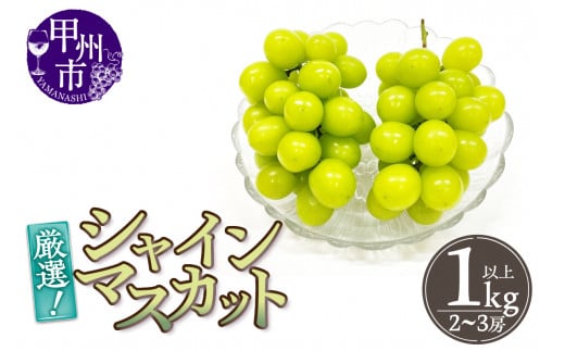 厳選！山梨県甲州市産 シャインマスカット 1kg以上（2～3房）【2026年発送】（THR）B-807 【シャインマスカット 葡萄 ぶどう ブドウ 令和8年発送 期間限定 山梨県産 甲州市 フルーツ 果物】