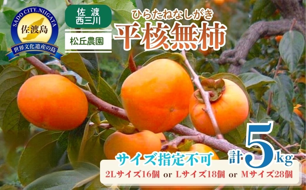 
                  【先行予約】佐渡産 平核無柿（ひらたねなしがき）2L16個/L18個/M28個 サイズ指定不可 種なし 八珍柿 松丘農園 | 新潟県産柿 新潟産柿 佐渡産柿 佐渡島産かき たねなし柿 種無し柿 平核無 八珍柿 おけさ柿 柿 かき カキ フルーツ 果物 にいがた さど 新潟県 佐渡市
                