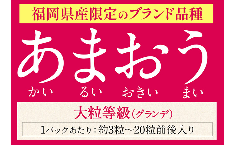 ★2026年出荷分★【先行予約】あまおう 1080g(約270g×4パック) 【着日指定不可】《2月中旬-4月末頃出荷予定》いちご 選べる 出荷 配送 時期---fn_ctama_2c4m_25_10