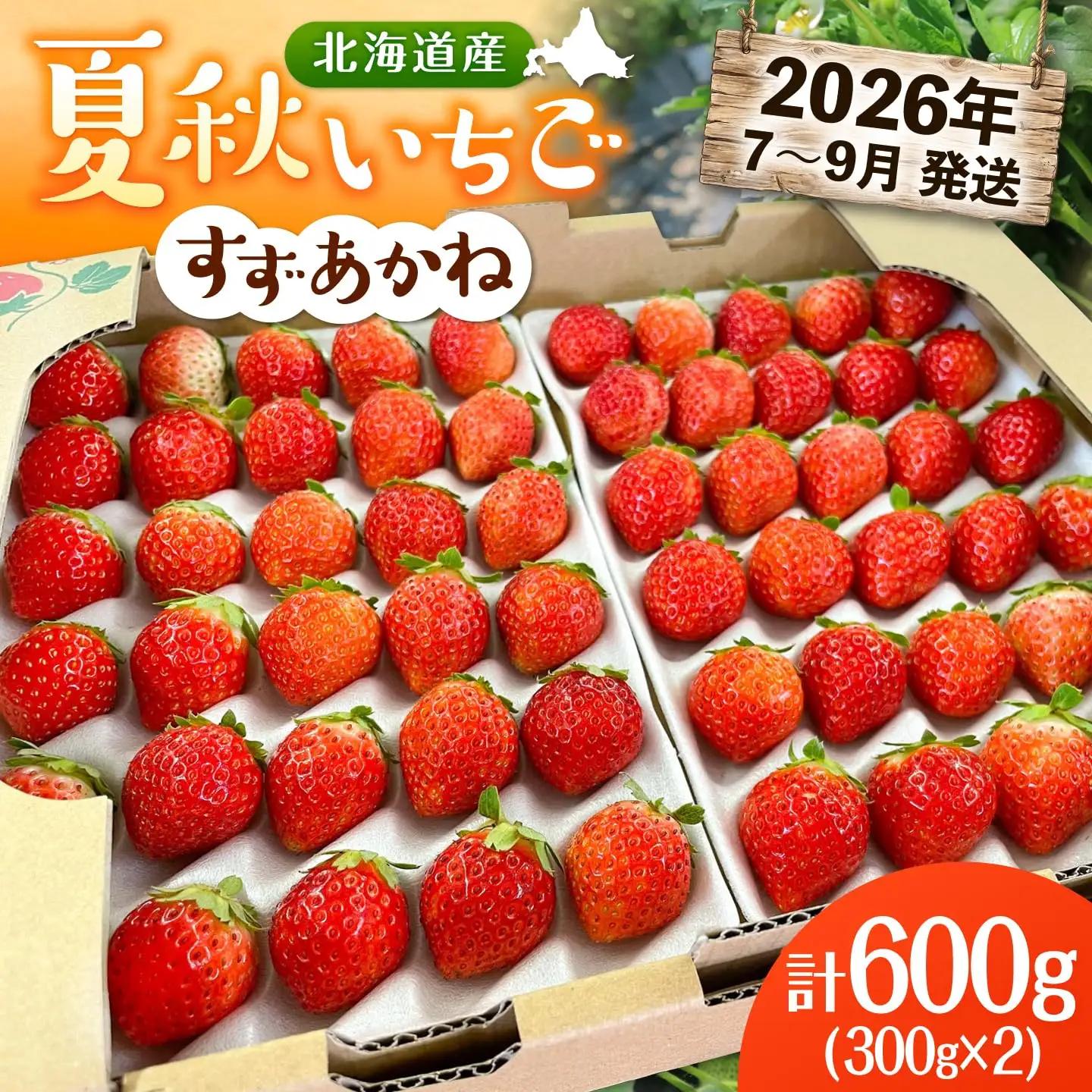 夏いちご すずあかね  計600g [AXBT003] いちご