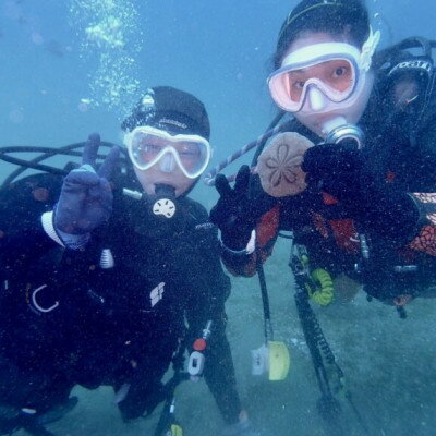 【ふるさと納税】だいびんぐしょっぷ海家「リフレッシュコース」　～ 神奈川県 真鶴町 ～【1704838】