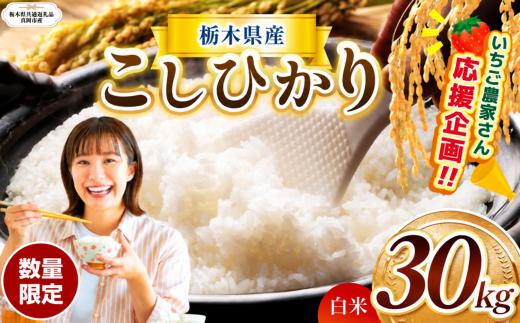数量 限定  訳あり 定期便 令和8年度 栃木県産 コシヒカリ 約 30kg | 数量限定 こしひかり  精米 白米 米 ごはん おいしい  密閉パック ふるさと納税 那珂川町 栃木県【栃木県共通返礼品】