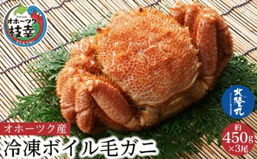 オホーツク産 北隆丸 冷凍ボイル 毛ガニ 約450g×3尾【 カニ かに 蟹 毛ガニ 毛蟹 冷凍 魚貝 魚介 海鮮 北海道 オホーツク 枝幸 】