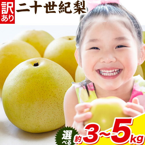 【ふるさと納税】梨 なし【2025年先行予約】 二十世紀梨 選べる 約3kg (6~11玉) 約5kg (10~18玉) L~5Lサイズ《2025年8月下旬-10月上旬頃出荷》二十世紀梨 梨 ご家庭用 旬 二十世紀 鳥取県 八頭町 なし 果物 フルーツ 特産品 送料無料 果汁 デザート 八頭
