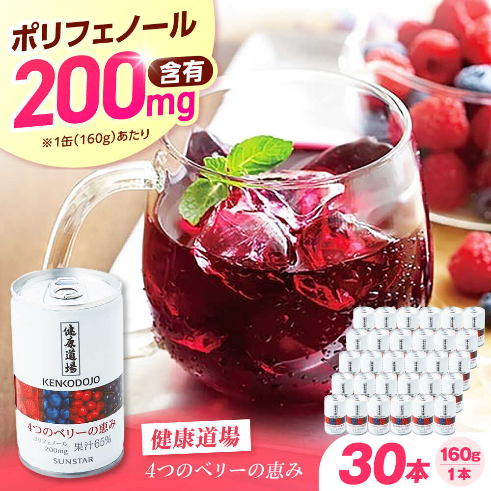 【ふるさと納税】健康道場 4つのベリーの恵み 160g×30本 健康飲料 野菜飲料 飲料 野菜ジュース 果物 栄養バランス ベリー 大容量 ポリフェノール 健康 ドリンク サンスター 美容 アンチエイジング おすすめ 大阪 高槻 大阪府高槻市/サンスター[AOAD052]