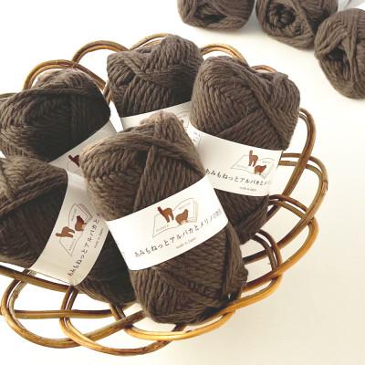 ふるさと納税 江南市 あみもねっと アルパカとメリノの物語 3番色 10玉セット