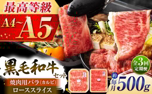【全3回定期便】くまもと黒毛和牛「藤彩牛」2種の食べ比べ計500g 3900 / 黒毛和牛 牛肉 和牛 ブランド牛 ブランド和牛 牛肉 ブランド牛肉 熊本県産 国産 人気【株式会社フジチク】 [BHAD036]