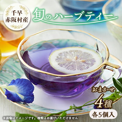 【ふるさと納税】千早赤阪村産旬のハーブティー4種(ミント、ホーリーバジル、バタフライピー、レモングラス、タイムなど)【1545167】
