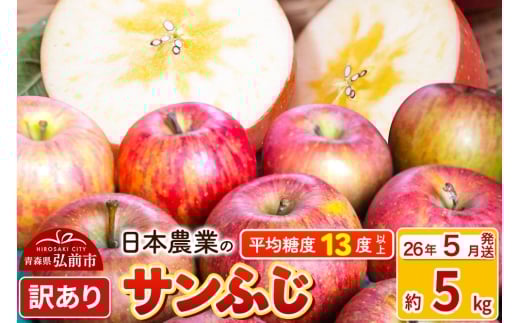 【26年5月発送】りんご 平均糖度13度以上！ サンふじ 約5kg 訳あり CA貯蔵 クール便 青森 果物 フルーツ 林檎 リンゴ くだもの 不揃い 規格外