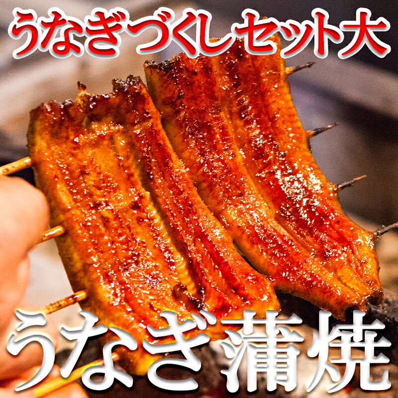 【ふるさと納税】【花遊小路　江戸川】真空鰻・うなぎづくしセット| うなぎ ウナギ 鰻 真空鰻 鰻蒲焼 セット 鰻110gx3 肝のしぐれ ぶぶ漬け 逸品 お取り寄せ グルメ ご当地 ギフト お祝い 内祝い ご自宅用 ご家庭用 江戸川 京都府 京都市