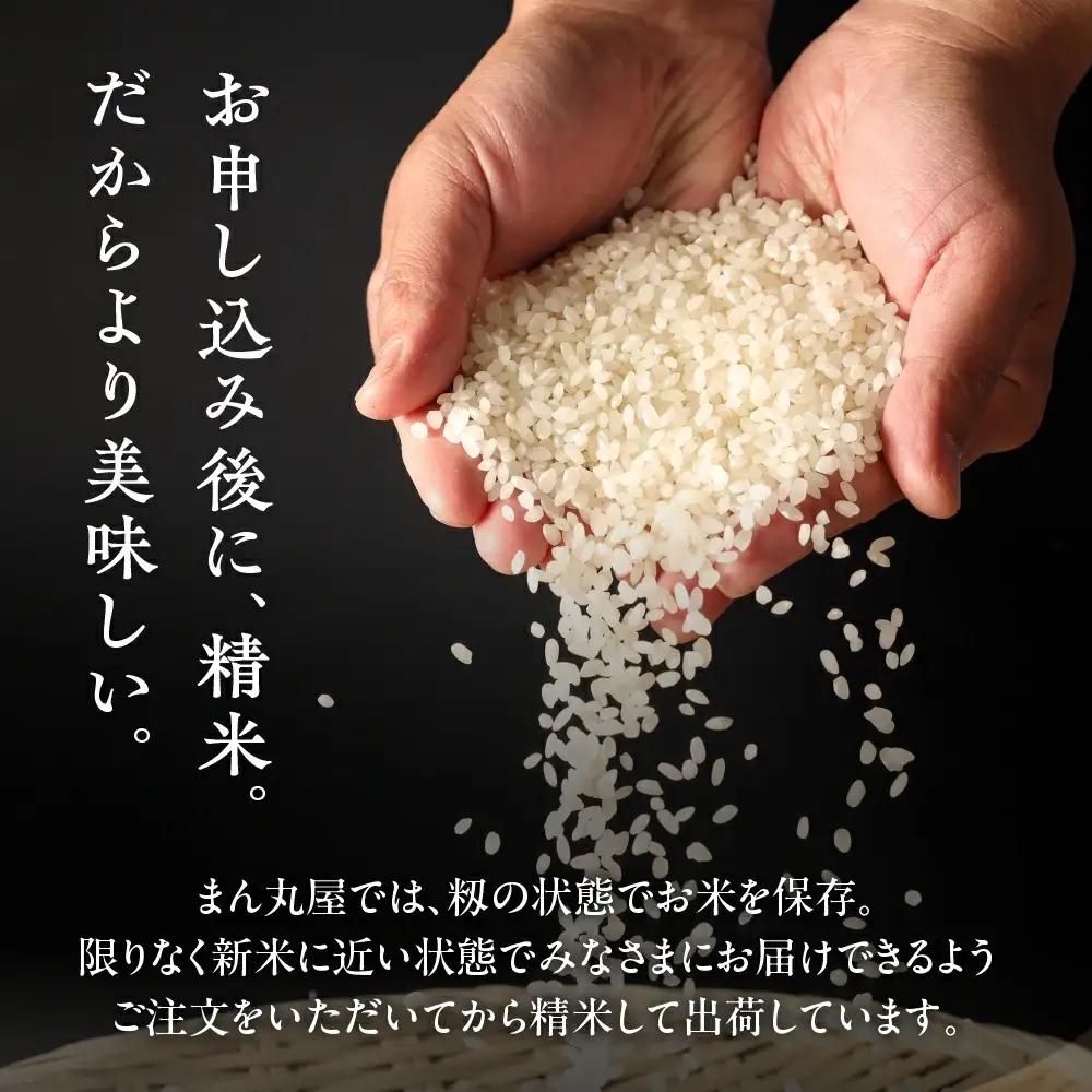 新米予約受付【定期便】【2026年11月から】3kg×6回【2026年産米】銀の朏≪テレビで紹介!!幻の米≫【13-28】