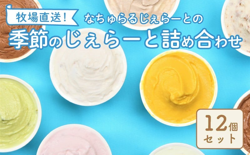 
            なかの牧場なちゅらるじぇらーとセット 12個入  ミルク チョコ ブルーベリー チーズ お茶 緑茶 紅茶 ほうじ茶 ラム レーズン ピスタチオ 塩 キャラメル アイス ジェラート セット 季節 お茶 冨士美園 てづくり なちゅらるじぇらーと なかの牧場 12個 父の日 F02
          