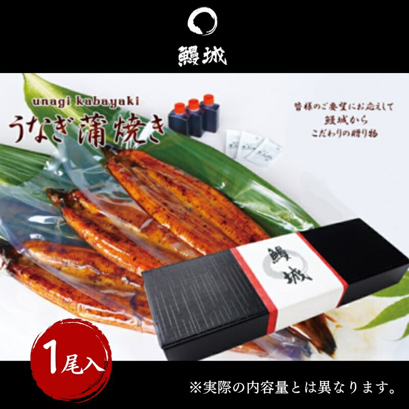 【ふるさと納税】鰻 国産 うなぎの蒲焼き 1尾入（特製タレ付） / 鰻城 うなぎ ウナギ 蒲焼 簡単調理 時短 電子レンジ　お届け：2025年1月中旬以降順次発送予定