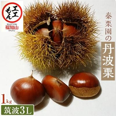 ふるさと納税 福知山市 秦栗園の丹波栗 筑波3L 1kg 生栗 大粒 10月上旬発送