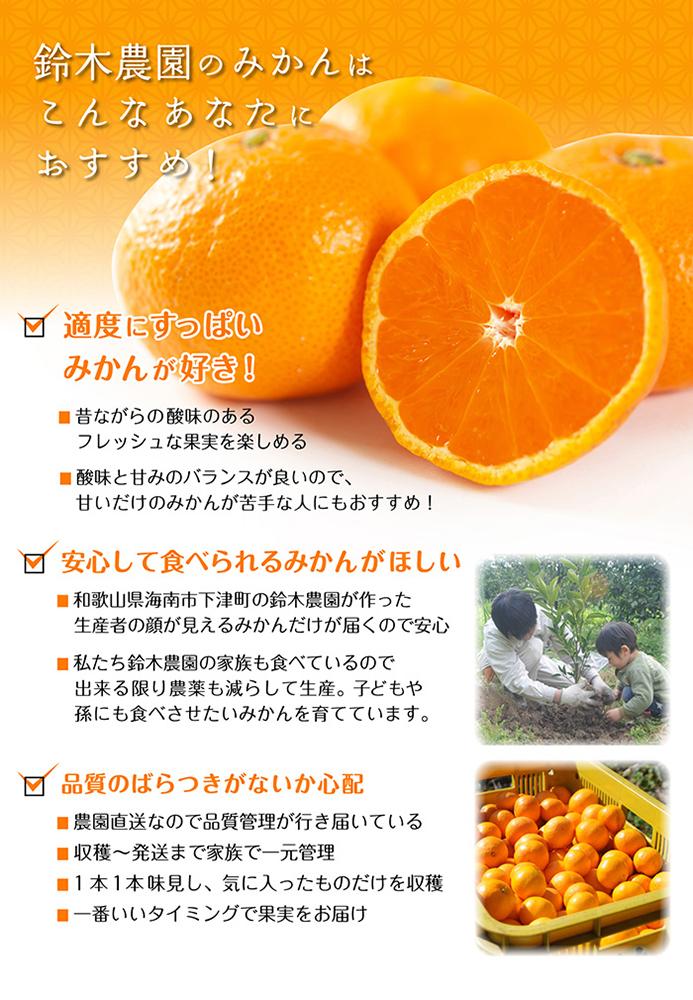 温州みかん 3kg S・M・Lサイズのいずれか【和歌山のみかん】11月～1月に和歌山鈴木農園より農園直送 温州ミカン 温州 下津みかん しもつみかん ミカン 蜜柑　mikan Sサイズ Mサイズ