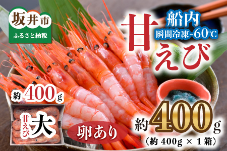 「共栄丸」直送☆船内瞬間冷凍 プレミアム甘えび　卵あり 約400g 【殻付き 有頭 生食 刺身 冷凍 魚介類 魚貝類 産地直送 坂井市産 福井県産 国産 三国 人気】 [A-2392]
