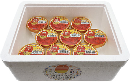 ＜高島屋選定品＞指宿マンゴージェラート9個セット(IB001-034/59D1953)