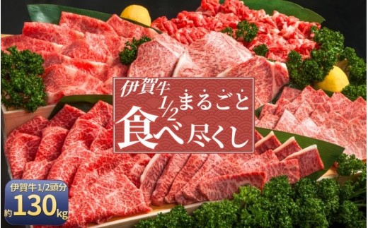 肉の横綱　伊賀牛１/2まるごと食べ尽くし【cook0045】