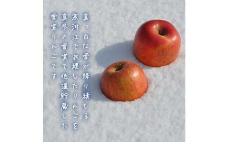 雪室 りんご「サンふじ」 5kg サイズおまかせ 【2026年1月下旬頃～2月下旬頃発送予定】2025年産 令和7年産　012-B-MM039