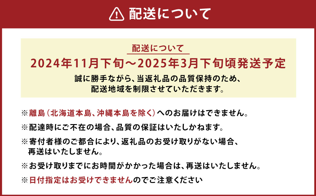 A161 【ギフト】 あまおう 24～30粒 いちご 【2024年11月下旬～2025年3月下旬発送予定】_イメージ4