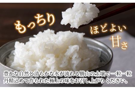 令和5年産　勝山産コシヒカリ　ちゃまごん米　5kg　精米 [A-010001]