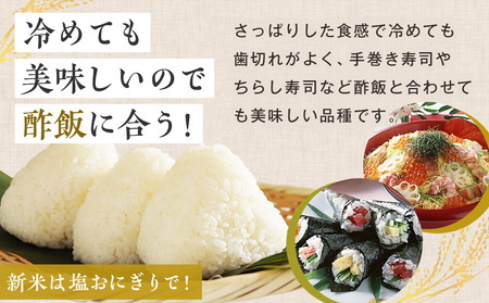 【令和7年産・早期予約受付】北海道産 津別町あっぱれ米（精米）10kg