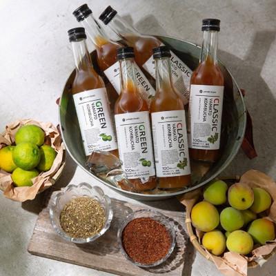 ふるさと納税 忠岡町 老舗酵素メーカー「大和酵素」が作る、 本物のコンブチャ　(280ml×24本) |  | 01