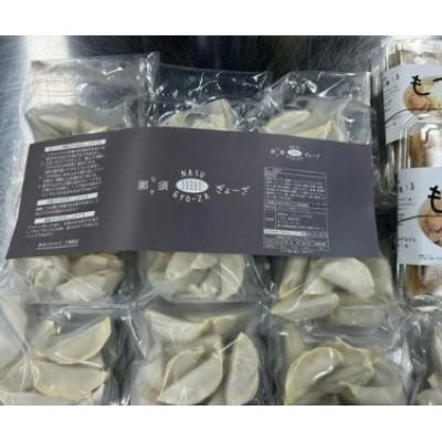 ふるさと納税 那須塩原市 那須餃子100個入・もつ煮 1,400gセット |  | 01