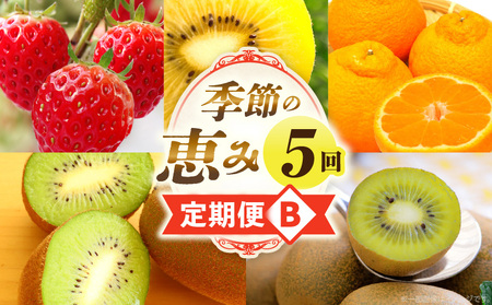 季節の恵み5回定期便B_mk165-t032